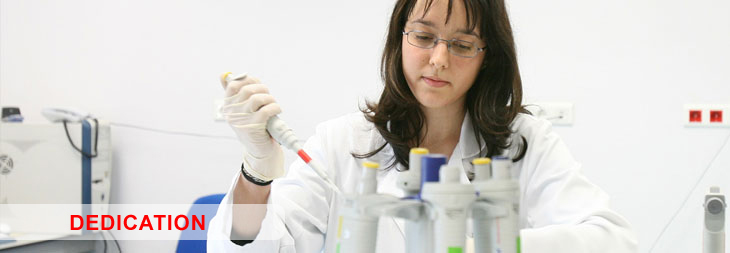 Css Template Preview